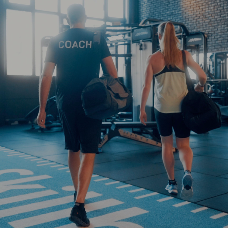 Shapes All-Round Best Friend